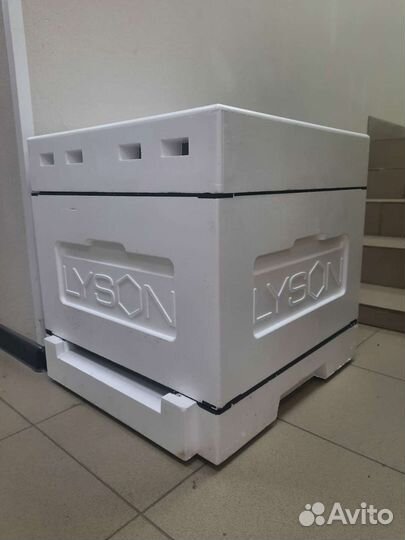 Улья Лысонь