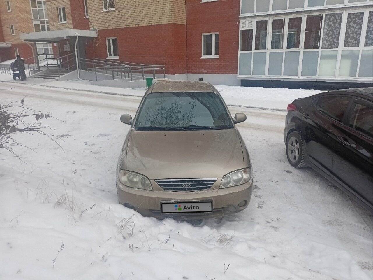 Kia Spectra: фото владельца