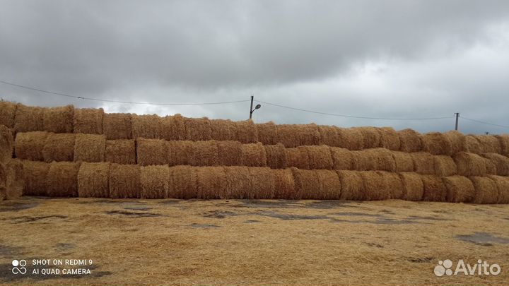 Дискатор бдм -3 метровый