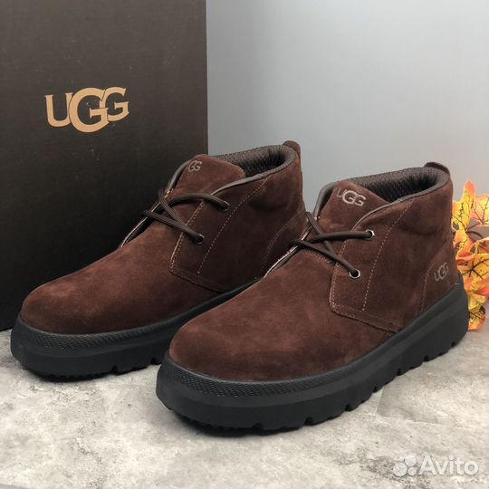 Ugg Mens Burleigh Chukka Dusty Cocoa