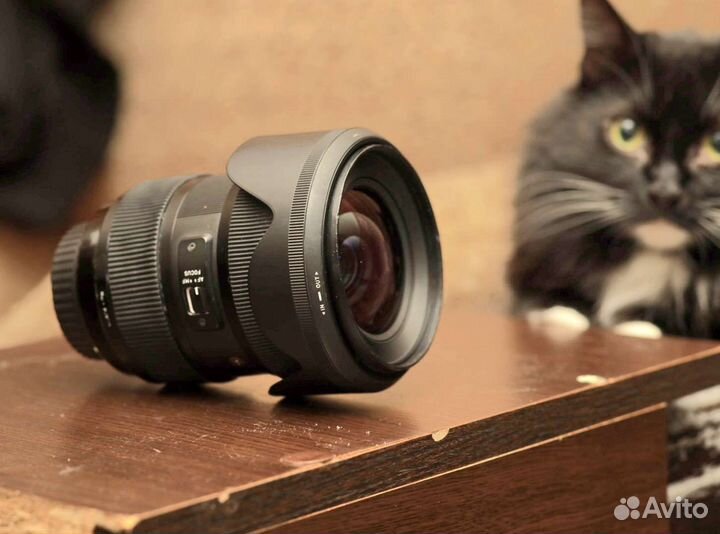 Sigma EF 24-35mm f/2.0 DG HSM ART