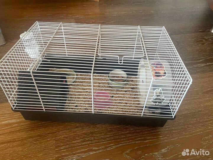 Джунгарский хомяк с клеткой