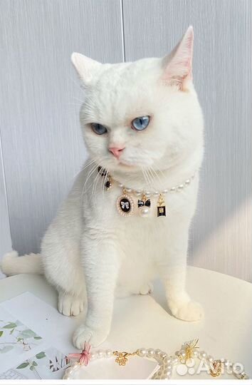 Ожерелье украшение для животных