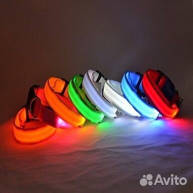 Светящиеся Ошейники
