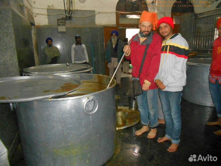 Пищевые отходы для животных