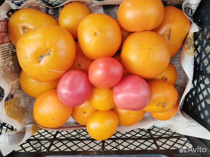 Огурцы помидоры свежие домашние