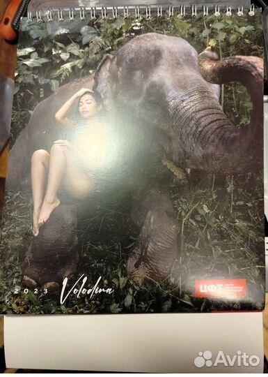 Календарь цфт 2023 настенный (большой)и настольный