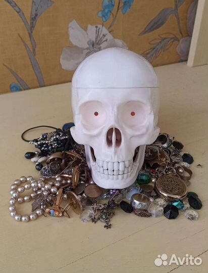 Череп пластиковый для фотосессии