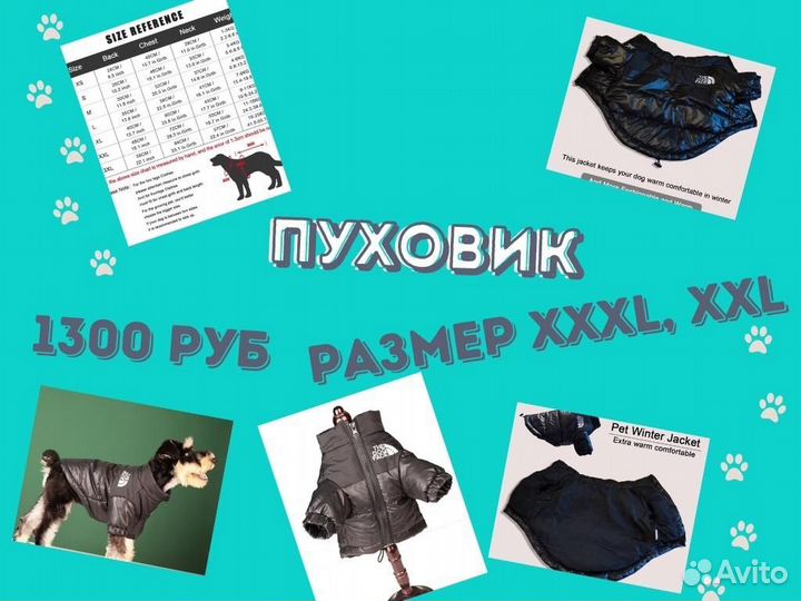 Одежда для собак средних размеров