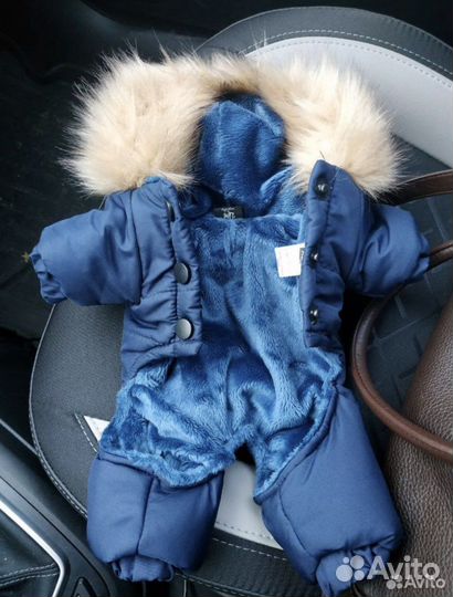 Зимний комбинезон для маленькой собаки xs 20 см