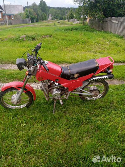 Зид пилот 50