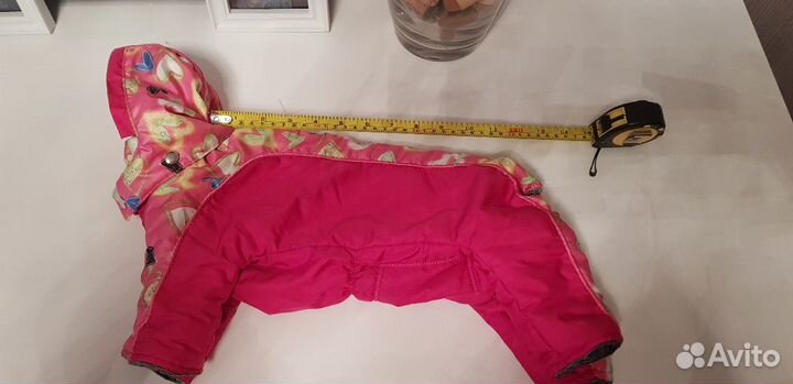 Одежда для собак