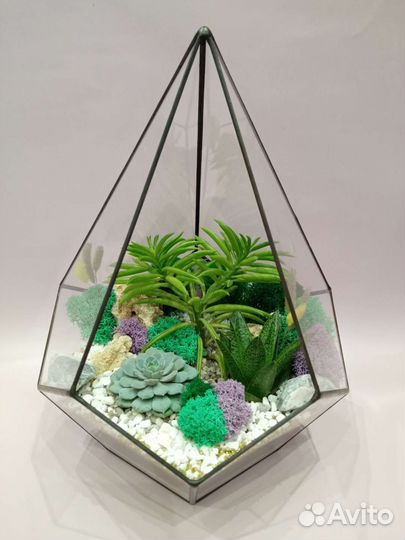 Флорариум. Суккуленты. Ижевск