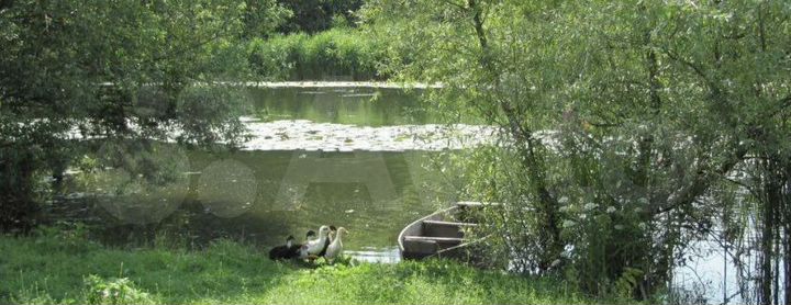 Участок 42 сот. (ИЖС)