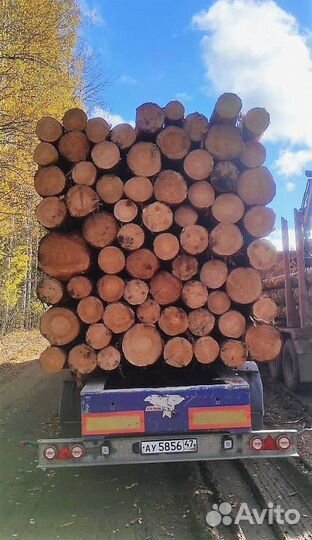 Лес кругляк опт