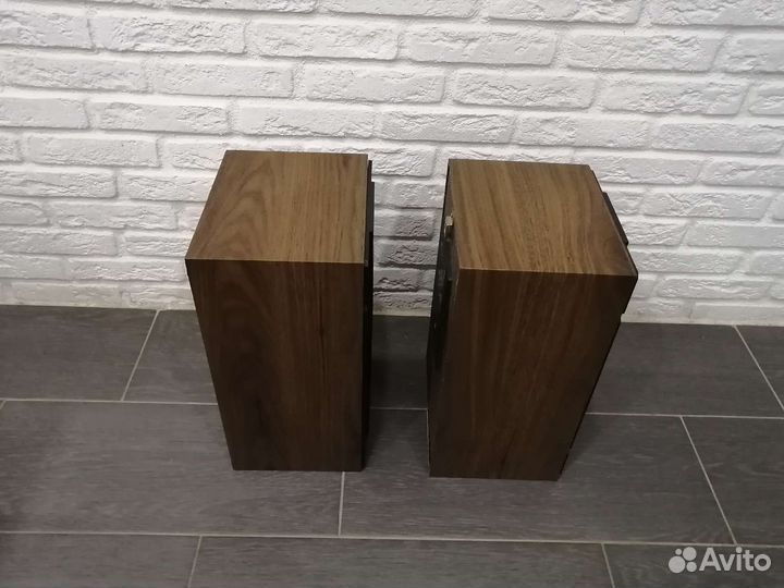 Колонки Радиотехника s30b