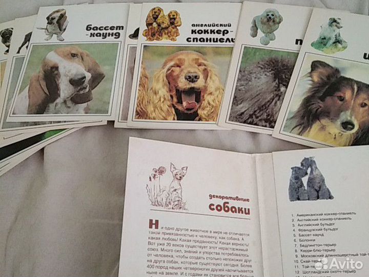 Открытки СССР