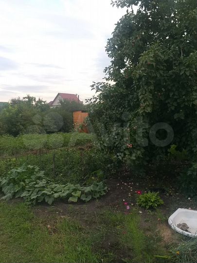 Дача 10 м² на участке 4,8 сот.