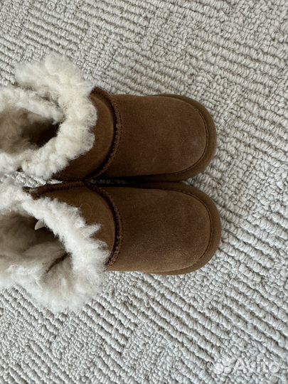 Угги emu australia