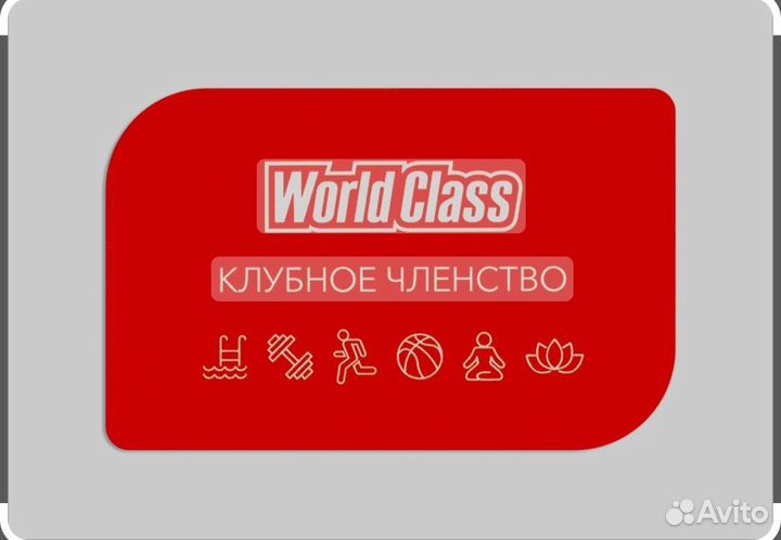 Спорт и отдых