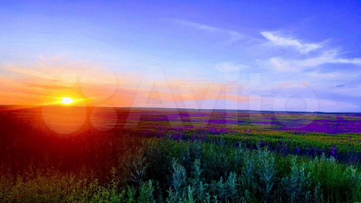 Дом 100 м² на участке 5 сот.