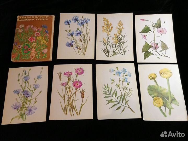 Наборы открыток СССР Травянистые растения