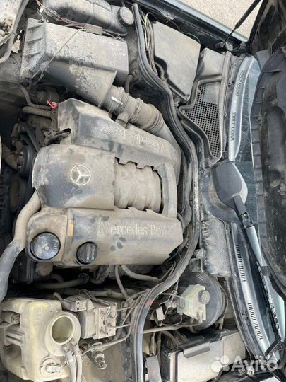 Авто на разбор Mercedes-Benz E240 W210 112.911