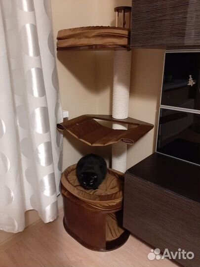 Когтеточки и домики для кошек