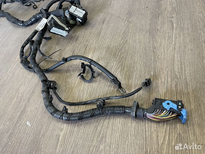 Проводка двс Ford Focus 3 1.5 EcoBoost