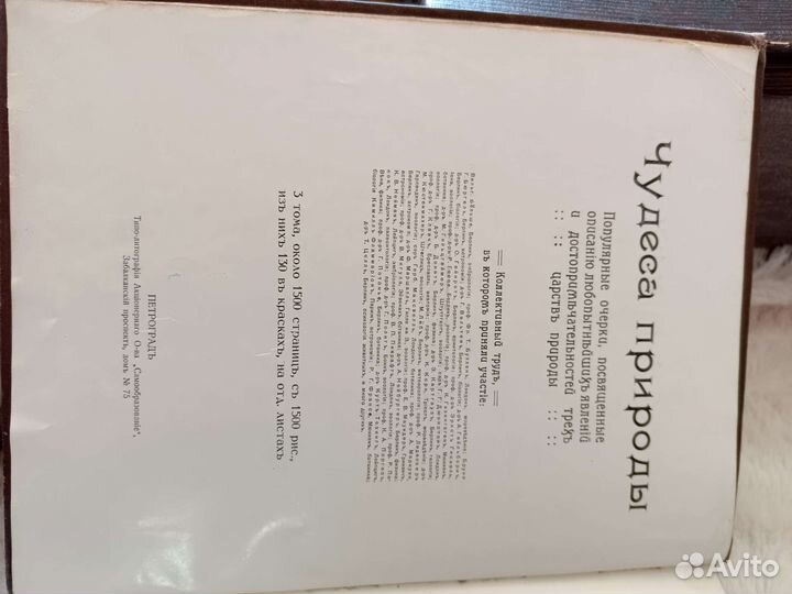 Коллекционное издание