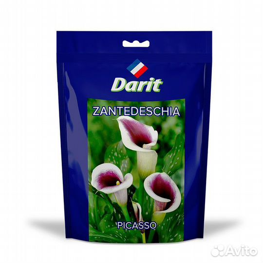 Калла (Зантедеския) Пикассо Zantedeschia Picasso 1