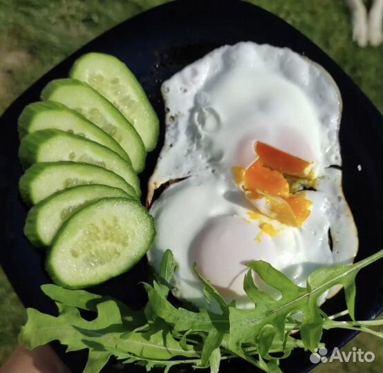 Домашние куриные яйца