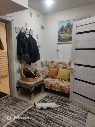 1-к. апартаменты, 25 м², 1/4 эт.