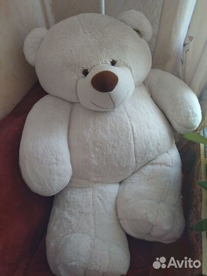 Большие плюшевые медведи
