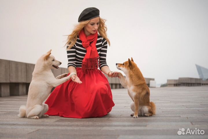 Инструктор-дресировщик(Кинолог)