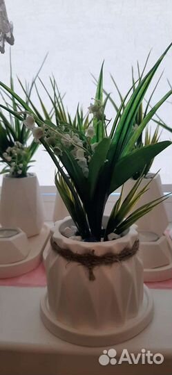 Подарочный набор:Кашпо из гипса