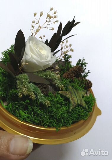 Цветы. Цветочная композиция. Подарок