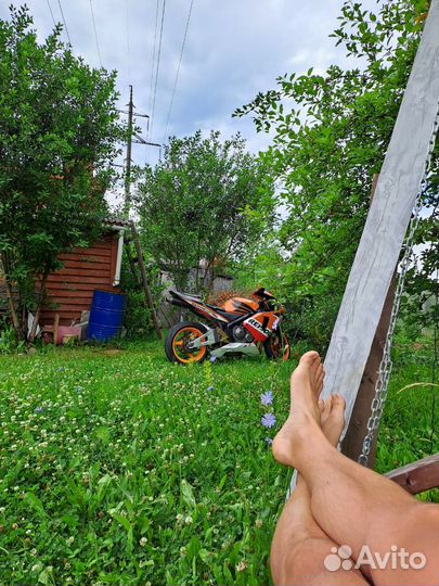 Honda cbr 600.в идеале