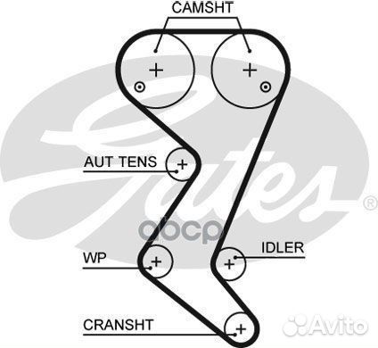 Рем.комплект грм с помпой Citroen C4/C5, Peugeot