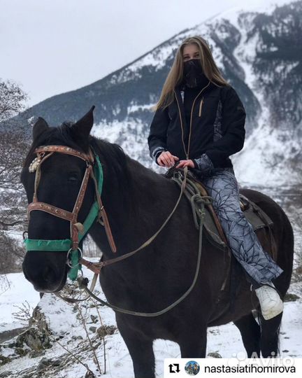 Конный прокат