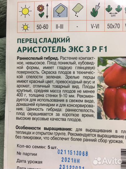 Рассада перца сладкого