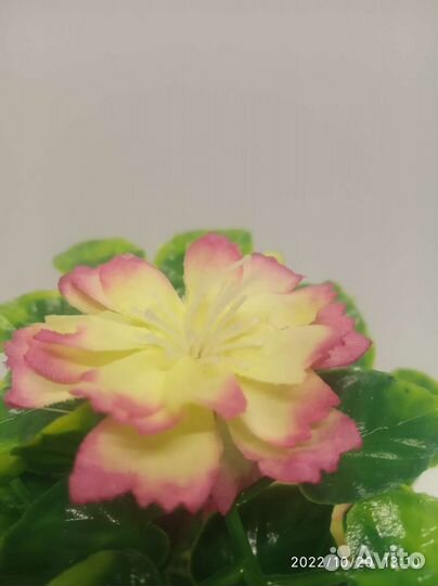 Искусственные растения для декора