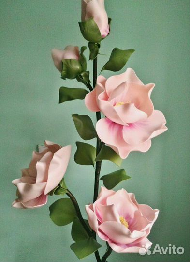 Ве тка магнолии