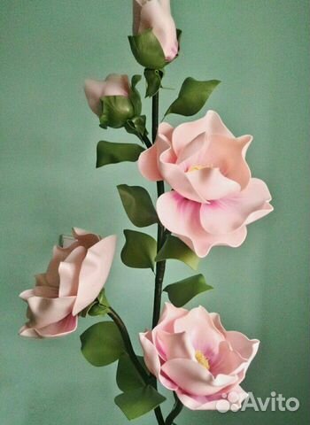 Ве тка магнолии