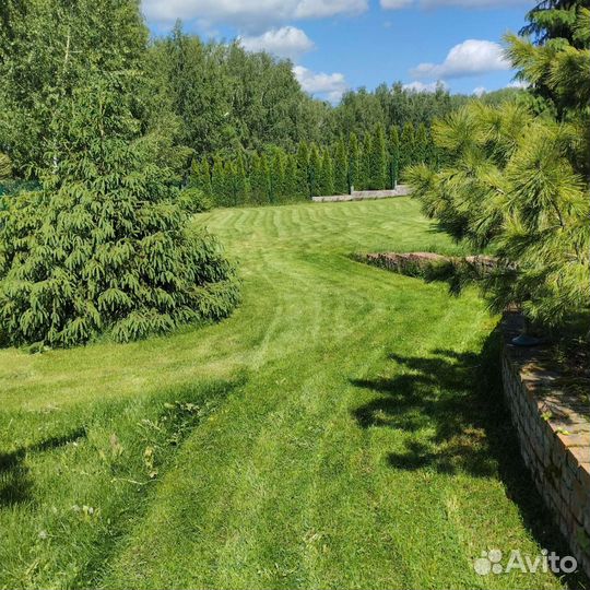 Посев газона,вспашка земли, покос травы