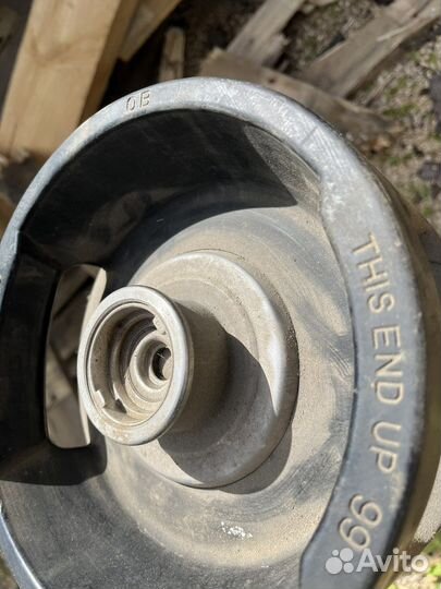 Геки пивные