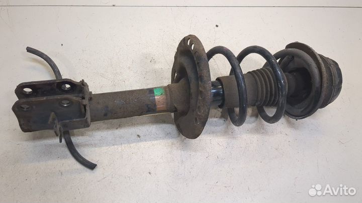 Амортизатор подвески Dacia Sandero 2012, 2015