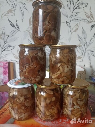 Грибы маринованные