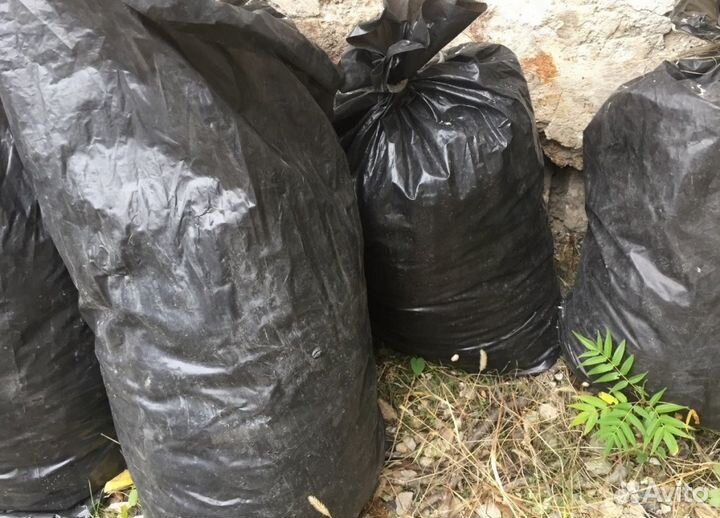 Конский навоз