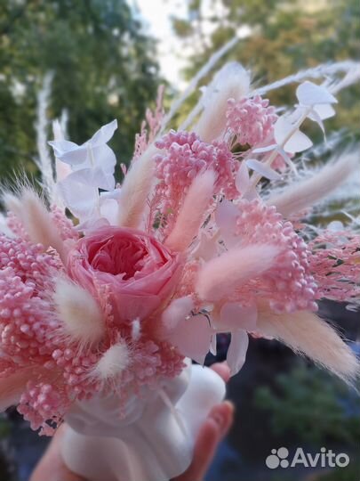 Букет из сухоцветов и стабилизированных цветы